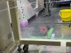 36468_1772271531_wrapped floor near SRM.JPG